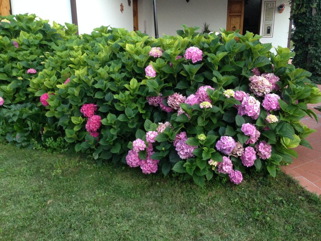 B&B Margherita Le Fiabe ซานตากาตา เฟลเตรีย ภายนอก รูปภาพ